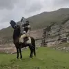 yalnz_qartal