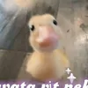 llikeyou047