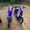 chiensadboy2