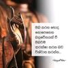 user6815556948582
