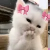 helloakosi_aliyah