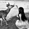 lana_4390