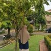 wong.deso4863