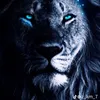user5198860910778
