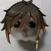 a_genshin_account