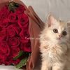 zina.a524