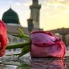 الحور الحسان