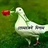 md.alamin.khan144