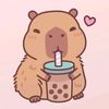 user512270905