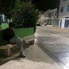 que_fue_2