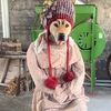 moonoi_20