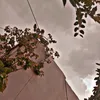 pinda_alay_3