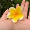 himarihihihi