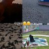 youmna7710