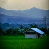 alang_deo