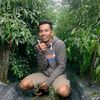 anaklanangsukses1112