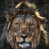 ahmed.helmy.777