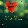 ahmed.shahzad999