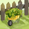 agroghanixfarms