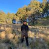 _sayajar