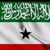 riyaaqmohammed988