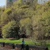 romaniejoseph5