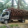 saparwadi025