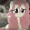 biancayshandy1