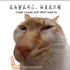 eggsthetique
