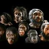 evolutionserror