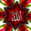 nebo7