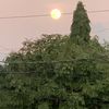 mauricio_honduras504