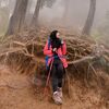 dewirahmawati7430