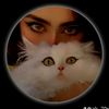shahzadirajput370