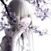 aorrrrta