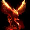 teamphoenix21