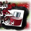 msq_wr