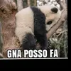 user7846004319856