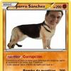 fuck_pedro.sanchez