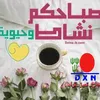 user2065543538742