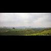 nur.hasan540