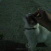.noturtyp3_