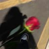 user5033676020763