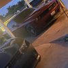 juan_borja530