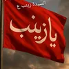 user7303233179725