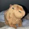 jerrythecapybara