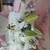 kharenaismail