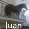 juandosbaile