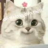khoai.lang1012010