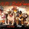 1080_bullygang